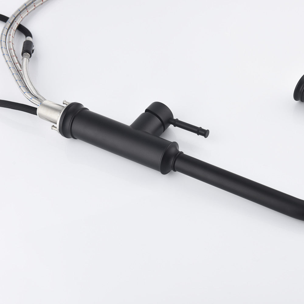 Single-handle Pull-down Kitchen Faucet With Dual-function Sprinklers