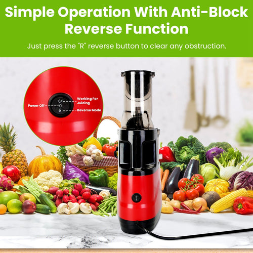 1Pc Cold Press Juicer Machine 300W Electric Slow Masticating Juicer For Whole Vegetable And Fruit With Reverse Function 2 Containers Cleaning Brush Clear Marks Easy Cleaning Fedex Shipping