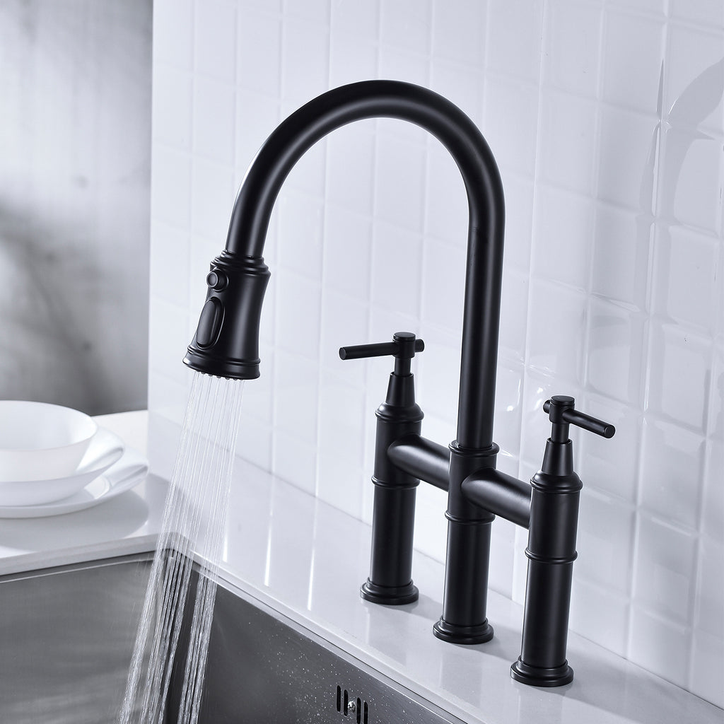 Pull Down Dual Handle Kitchen Faucet