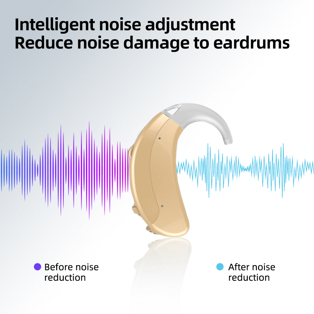 Hearing Aid Digital Hearing Amplifiers Wireless Mini Hearing Aids Best Audifonos Sound Amplifiers Moderate Loss