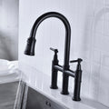 Pull Down Dual Handle Kitchen Faucet