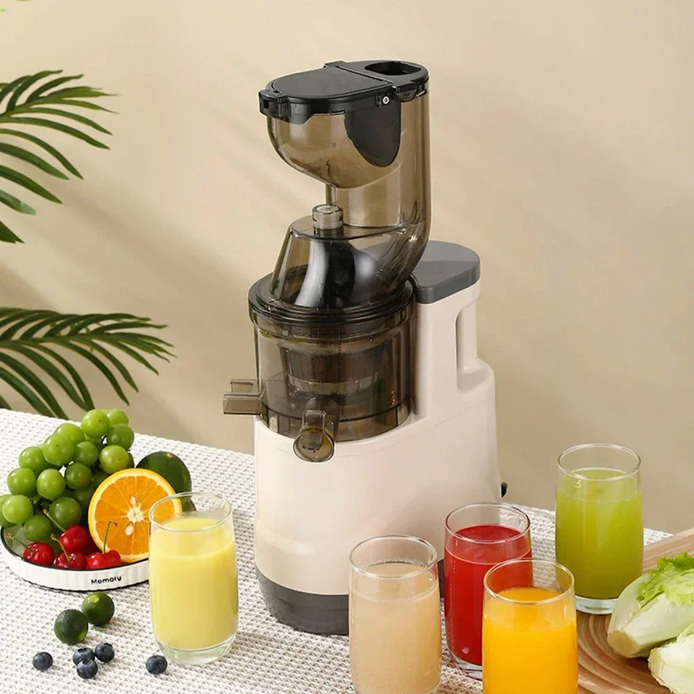 Slow Cold Press Juicer Machines Vegetable and Fruit, 500W Slow Masticating Juicer Machines with 7-Inch Large Feed Chute